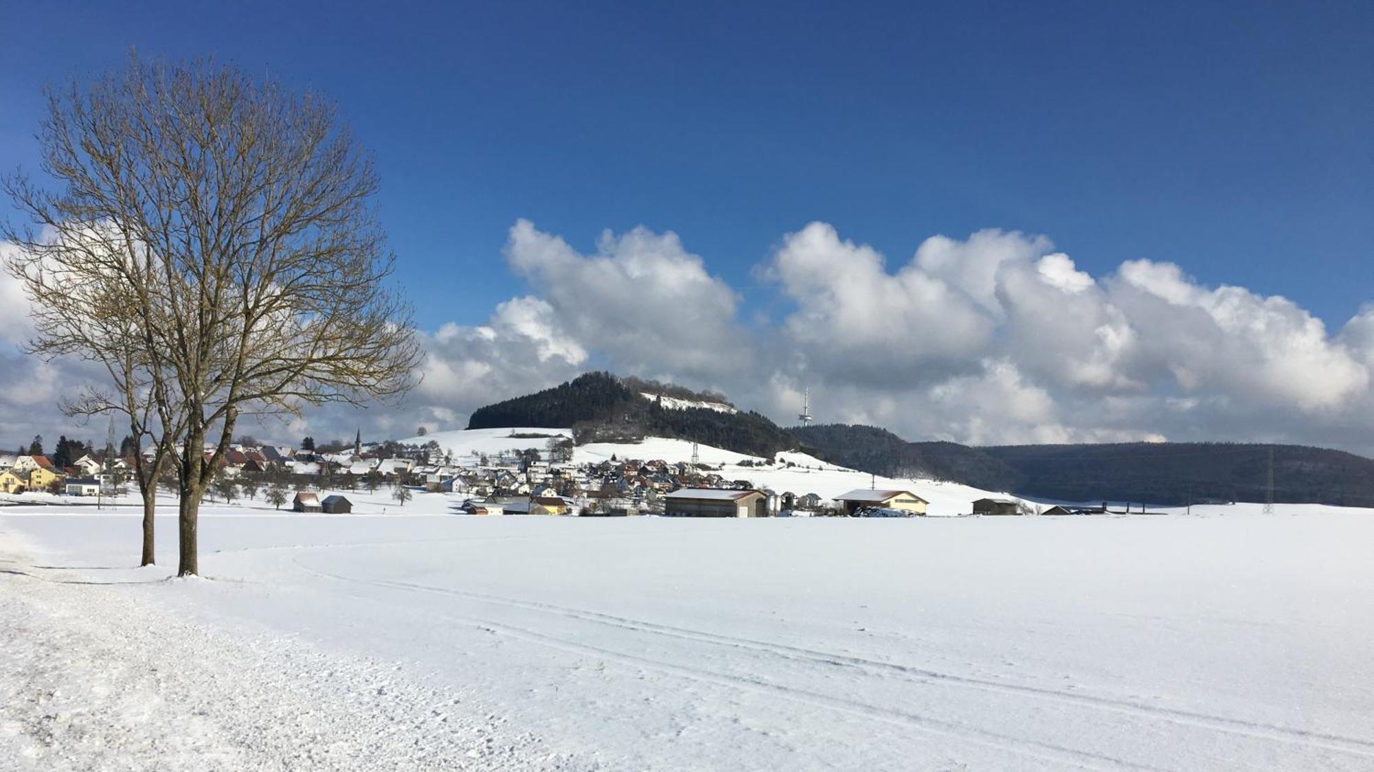 Hotel Roessle Furstenberg  외부 사진